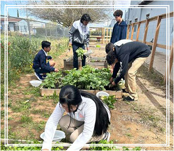 Students working on the raised garden beds at the school